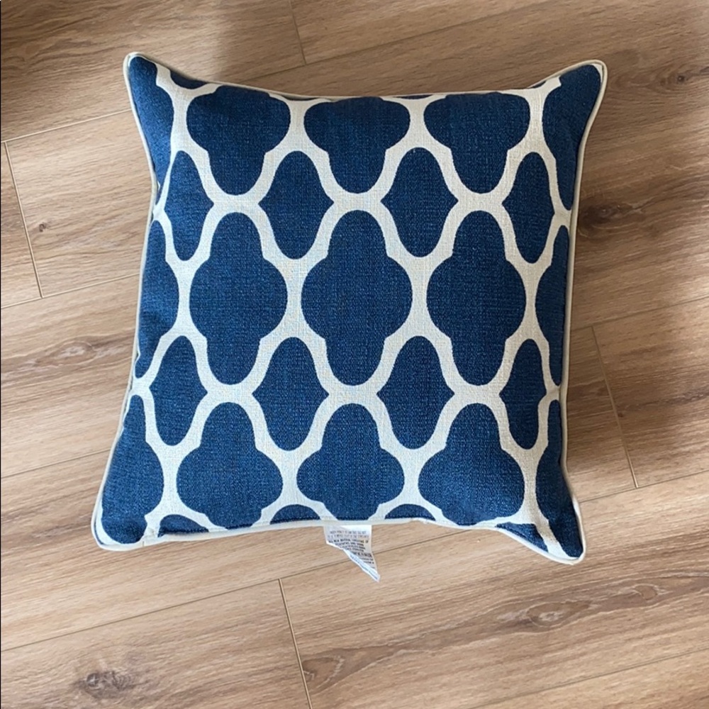 Set of two blue and white decorative pillows